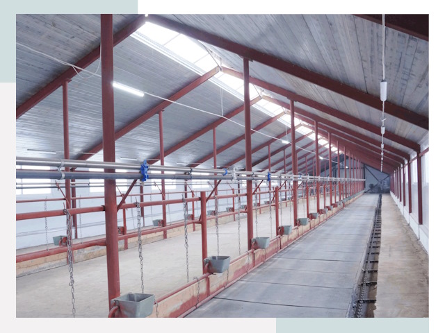 Строительство коровников в Махачкале от 621 руб.