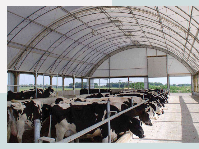 Тентовые коровники в Махачкале